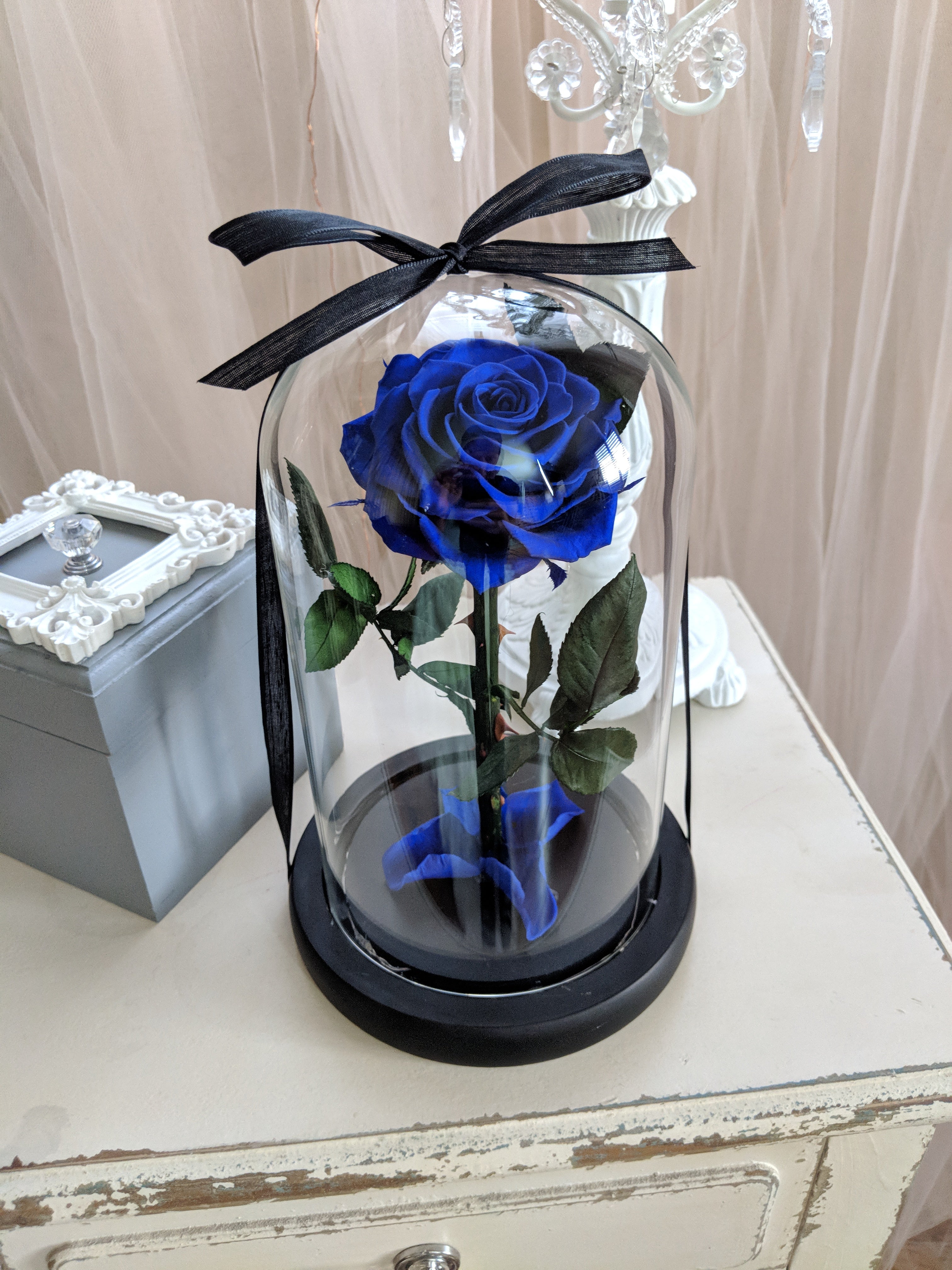 Royal Blue Enchanted Rose with Personalized Engraved Plate