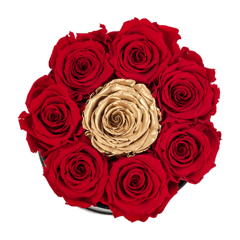 Red & Gold Preserved Box of Roses in a Black Round Box