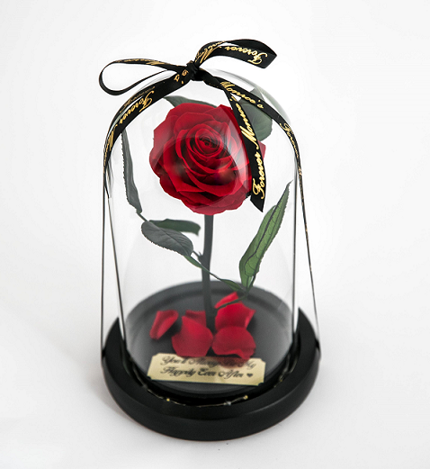 Red Enchanted Rose with Personalized Engraved Plate