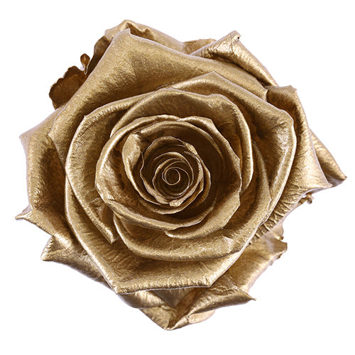 Square Rose Box Bouquet - 16 Forever Roses (Black Box)