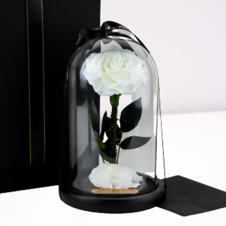 White Enchanted Rose with Personalized Engraved Plate