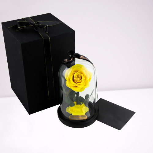 Yellow Enchanted Rose with Personalized Engraved Plate